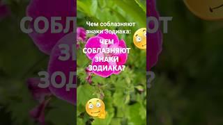 Чем могут соблазнить знаки Зодиака  / Эзотерика Гороскоп Астрология Знак