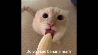 Banana man #funnyvideo