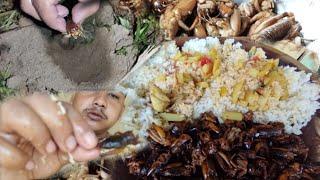 village life in nagaland / hunting coconut cricket and eat || village mukbang video