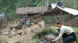 Build a new pen for the newborn pigs in the forest