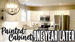 PAINTED KITCHEN CABINETS, ONE YEAR LATER | DURABILITY & TOUCH-UPS | BENJAMIN MOOR ADVANCE PAINT