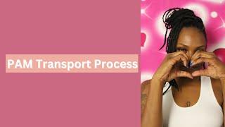 PAM Transport Process