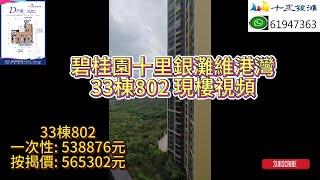 惠州 惠東 碧桂園十里銀灘維港灣 33棟802 現樓視頻