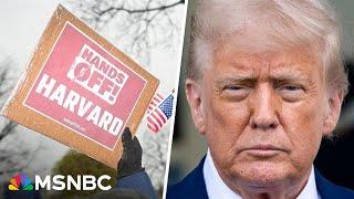 ‘Moment of confusion and anxiety’: Harvard student speaks out on Trump targeting student visas