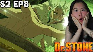 THE FINAL BATTLE!!! Dr. STONE Season 2 Episode 8 REACTION