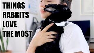 12 Things Rabbits Love the Most!