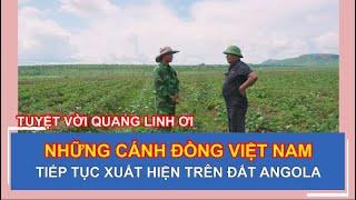 TUYỆT VỜI QUÁ PHẠM QUANG LINH - NHỮNG CÁNH ĐỒNG VIỆT NAM TIẾP TỤC XUẤT HIỆN TRÊN ĐẤT ANGOLA