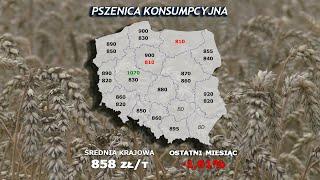 #298 agro wiadomości nonstop   10 06 2025