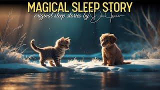 PENNY AND PICKLES UNEXPECTED ADVENTURE All Night Sleep Stories For Grown Ups