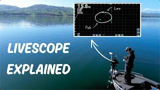 LiveScope Murray Cod Fishing - How to, Settings, Setup and Tactics Explained!