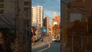 Hidden #TOKYO Neighborhoods but make it a music video #shortsfeed