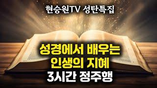 성탄특집 성경에서 배우는 인생의 지혜 3시간 정주행