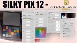 ️ silkypix developer studio pro 12 Partial correction tool Fine Color Controller Monochrome