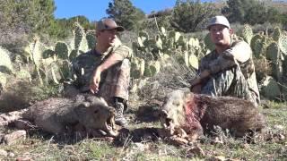 Cowboy Cannons: Arizona Javelina Hunting