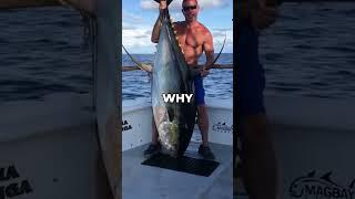 Why You Can't Buy A Live Tuna #Shorts