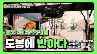 도봉에 반하다 - 스마일 텃밭 랜선 산책[2020년 효.도.템 봉사단]