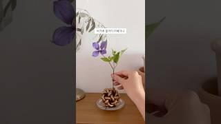 강이지 장난감의 변신 #diy #diycraft #flowers #handmade