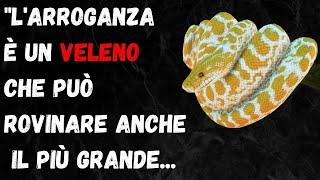 Cinque Proverbi Saggi per Eliminare gli Arroganti dalla Tua Vita || Detti e Proverbi