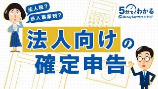 【法人向けの確定申告】手続きの流れ・税金の計算方法をわかりやすく解説！