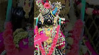 Banke bihari ji | banke bihari ji | #krishna #bankebihari #darshan #shortsfeed #virelshorts