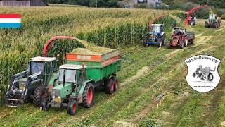 Youngtimer chopping maize | 3x forage harvesters | Old School Farmers | Luxembourg 2024