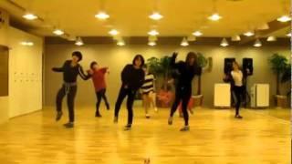 T-ara 'Lovey Dovey' mirrored Dance Practice