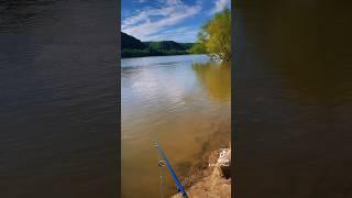 Fishing the Ohio river!! #fishing #bassfishing #shortsvideo