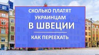 Сколько платят украинским беженцам в Швеции. Пособия для украинцев, работа, медицина и убежище