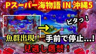 【海物語ファン必見⭐️】激レアの法則崩れ発生⁉️魚群なのに手前でハズレ⁉️『Pスーパー海物語 IN 沖縄5』ぱちぱちTV【999】沖海5第474話 #海物語#パチンコ