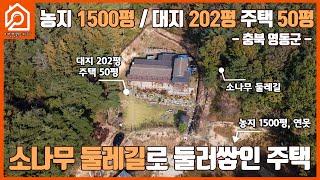 농지 1500평 / 대지 202평 주택 50평 / 충북 영동군 / 소나무 둘레길로 둘러쌓인 주택 / 이천주택 / 이천부동산 / 이천가야공인중개사