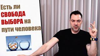 АРЕСТОВИЧ: Предопределен ли жизненный путь человека, на все воля Божья, или есть свобода выбора?