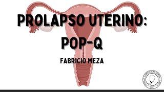 PROLAPSO UTERINO: POP-Q | Ginecología y Obstetricia