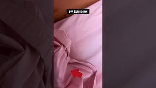 침대 방수커버 대청소할때 필수! 침대 진드기