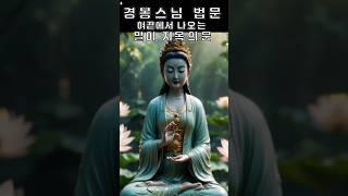   경봉스님법문말조심,그게 바로 업(業)을 조심하는 길이야.#경봉스님 #말조심 #입으로짓는죄 #불교이야기 #불교쇼츠 #짧은법문
