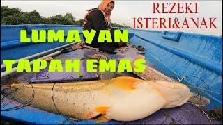 Luarbiasa ‼️ IKAN TAPAH EMAS ⁉️Lubuk Keramat Kuala Ring Memberi Hasil Lumayan⁉️Pasang Jaring & Tajur