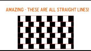 8 MIND-BLOWING Optical Illusions - THESE ARE ALL STRAIGHT LINES