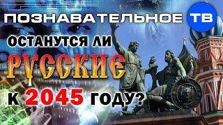 Останутся ли русские к 2045 году? (Познавательное ТВ, Дмитрий Таран)