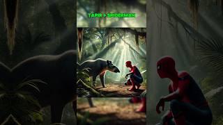 Spiderman Evolution • #marvelstudios #spiderman #animalhybrid #aicreators #shorts #spidermanhybrid