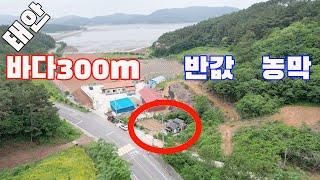 [물건번호3091]충남 태안군 소원면 "바닷가 300m 거리 반값 농막 급매 "합니다, 군유지 토지 무상사용하는 태안바닷가토지 입니다, 바닷가 작은 토지  찾고 계시면 답사 오세요