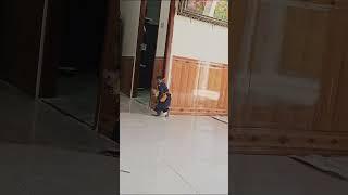 Monkey Kuku captured and imprisoned baby Su