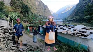 The Most Relaxation Himalayan Village Life | Living in the Beautiful Nature | BijayaLimbu