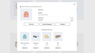 WooCommerce added to cart popup (Ajax)