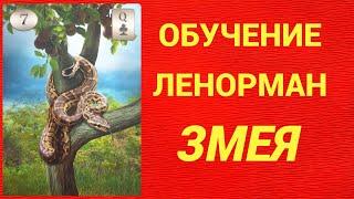 Обучение гаданию на Оракуле Ленорман. Карта Змея.
