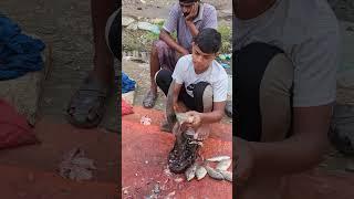 Amazing Big Telapia Fish Cutting Skills #fish #fishcutting #fishcuttingskill #youtubeshorts