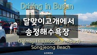 Driving in Busan/Korea/부산 달맞이길에서 송정해수욕장~기장까지/부산명소 드라이브