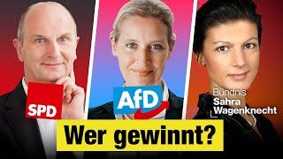 Brandenburg Landtagswahl: Alle Wahlprogramme einfach erklärt (AfD, BSW & Co.)