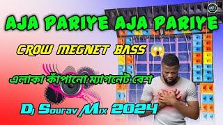 Aja Pariye Aja Pariye || Crow Megnet New Style Mix || Dj Sourav Remix 2024