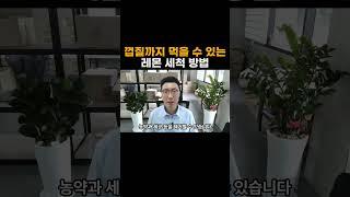 껍질까지 먹을 수 있는 레몬 세척 방법