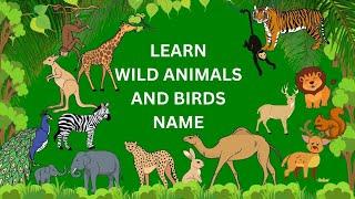 Animals and Birds Names in English | Learn Animal and Bird Names for Kids with Pictures