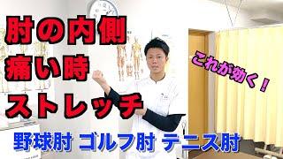 【肘 痛み ストレッチ】野球肘、ゴルフ肘、テニス肘など長引く肘の内側の痛みを治すストレッチ！
